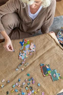 Jumbo Wasgij Mystery 19: Bingo Blunder